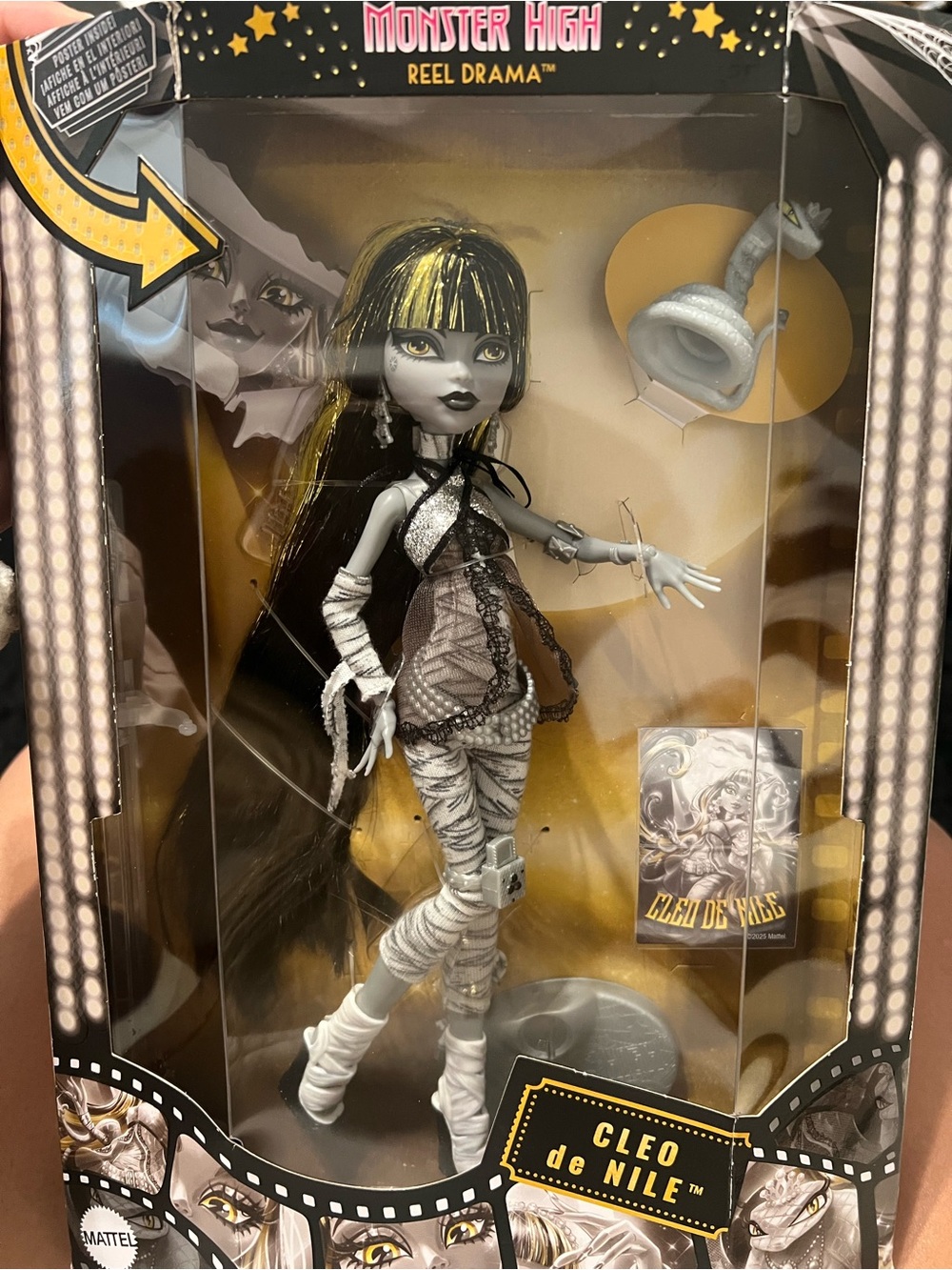 Monster High Cleo de Nile Doll - Black, White, Gold box was opened